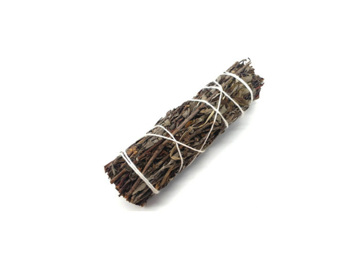 Fagot Sauge Shasta 25g 11cm