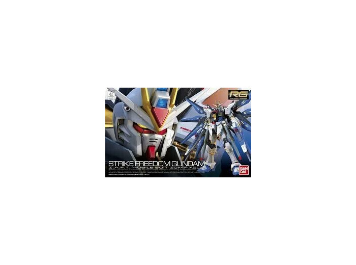 RG ZGMF-X20A Strike Freedom