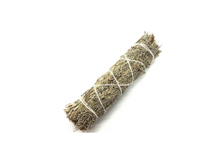 Sauge Bleue Californie Fagot 30g
