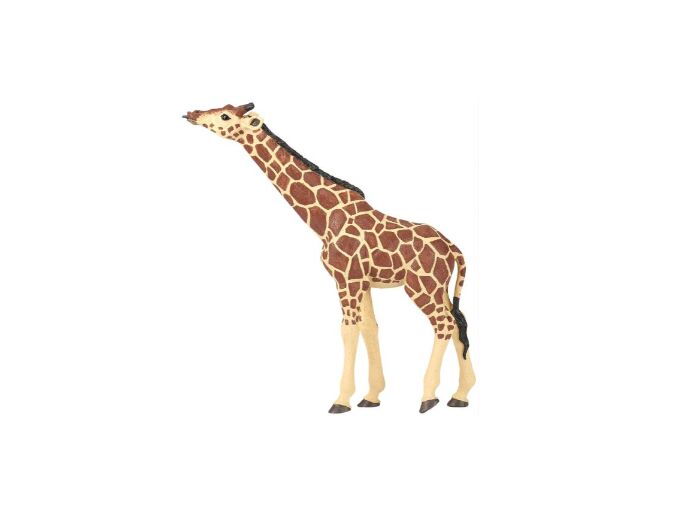Girafe Tête Levee - Papo - 50236