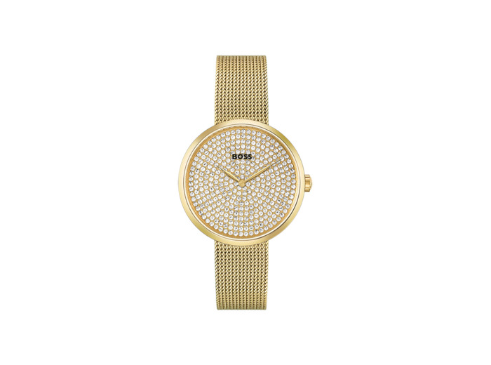 Montre BOSS Business Praise 1502659