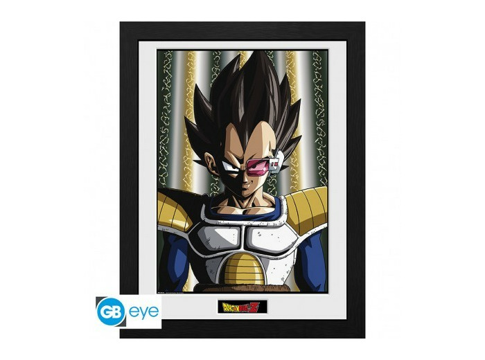 DRAGON BALL - Tirage encadré DBZ/"Vegeta" (30x40)