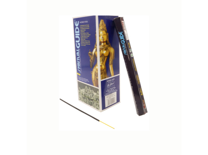 Encens Padmini Spiritual Guide 20g