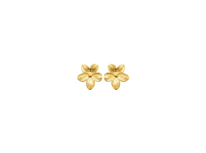 Boucles d'oreilles en acier doré