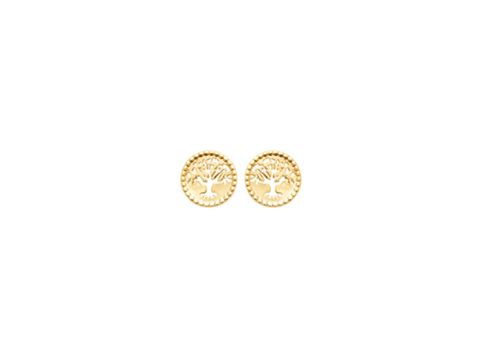 Boucles d'oreilles en plaqué or