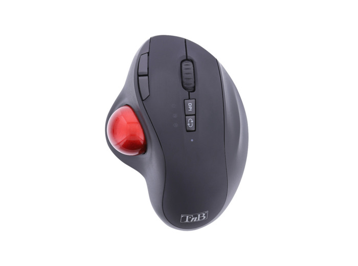 Souris ergo trackball noir