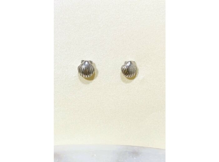 Boucles Puces Coquillage - Argent Massif