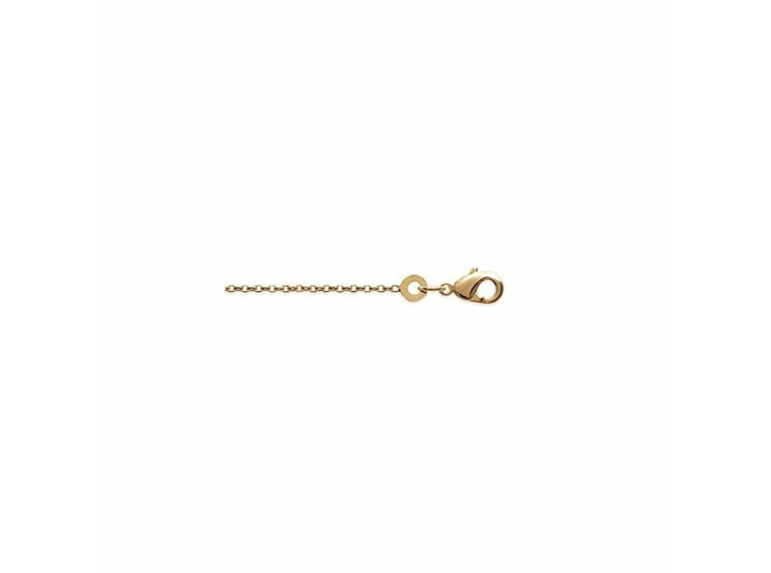 Chaîne de cheville en plaqué or, 25cm