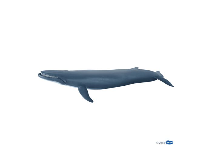 Baleine bleue -Papo- 56037
