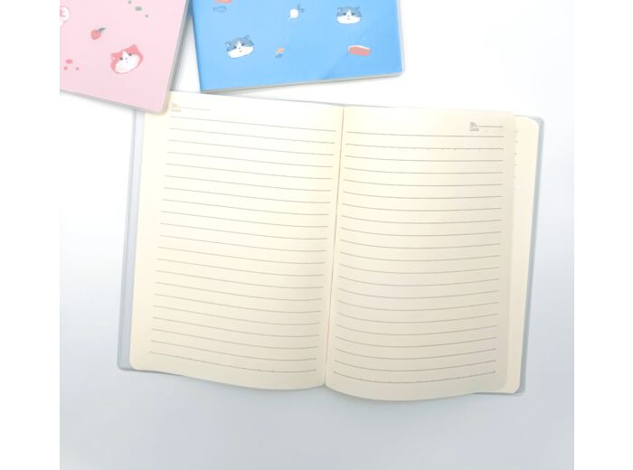 CAHIER CHAT PASTEL