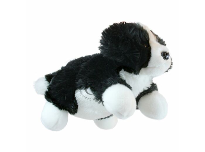 Marionnette Border Collie- PC001802