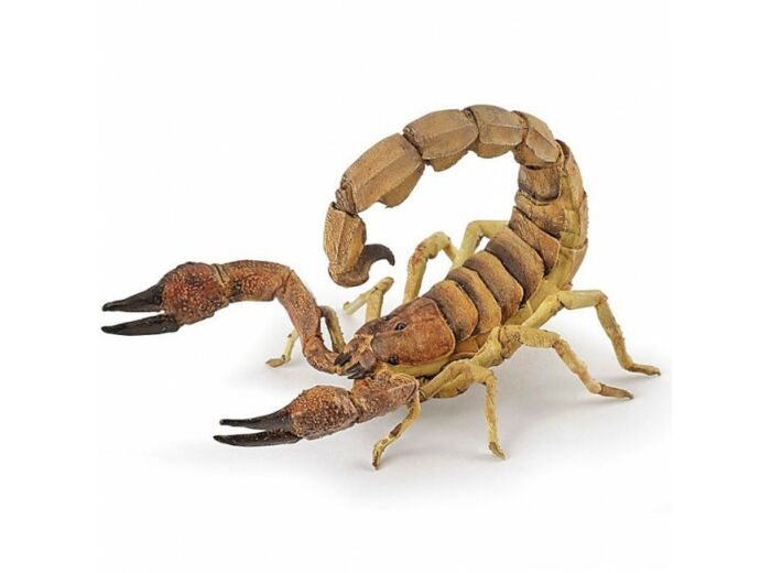 Scorpion - Papo - 50209