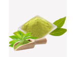 Poudre de lait Matcha