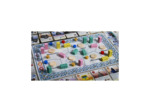 Pax Pamir Seconde Edition