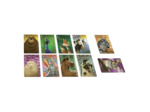 Similo : Animaux