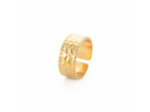 LEASE BAGUE ACIER INOXYDABLE
