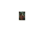 Dragon Shield - 100 Matte Art Sleeves - Emperor Scion : Portrait