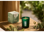 Bougie parfumée ressourçante Breathe