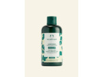 Après-Shampooing Brillance & Protection Moringa