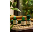 Mix huiles pour brûleur Breathe Eucalyptus & Romarin
