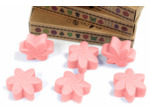 Boîte de 6 Fondants en Cire Soja - Magnolia Japonais