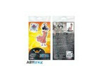ONE PIECE - Acryl® - Robin