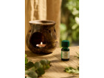 Mix huiles pour brûleur Breathe Eucalyptus & Romarin