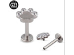 Empreinte - 3 Zircons