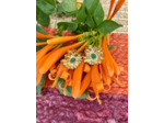 Boucles Fleurié