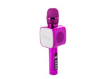 Microphone karaoke