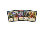 Hero Realms : Périples Voyageurs
