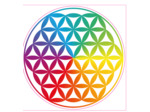 Stickers Fleur de vie 39€ 50cm*50cm