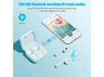 Ecouteurs true wireless earphones 2 basic