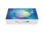 Pokémon : Coffret Ultra Premium 2024 Terapagos-EX