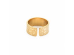 LEASE BAGUE ACIER INOXYDABLE