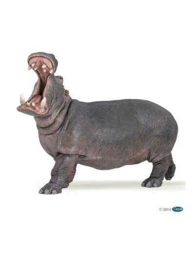 Hippopotame -Papo- 50051