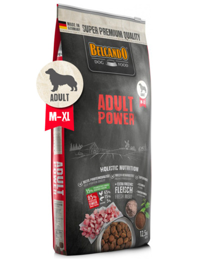 Adult Power 12.5kg - Croquettes pour chien adulte moyen à grand<br />Poulet