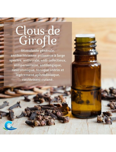 HUILE ESSENTIELLE DE CLOU DE GIROFLE BIO CEVEN'AROMES 10ML