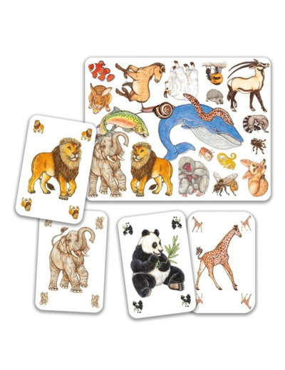 Jeux de cartes Zanimatch - DJ05153