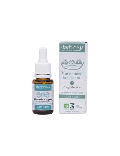 Marronnier bourgeon 15 ml BIO