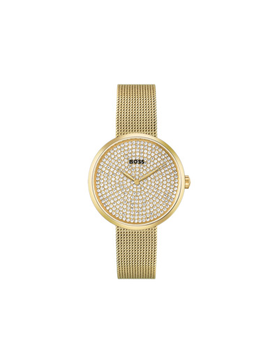 Montre BOSS Business Praise 1502659