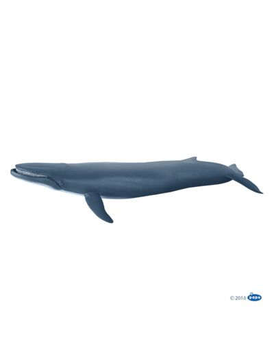 Baleine bleue -Papo- 56037