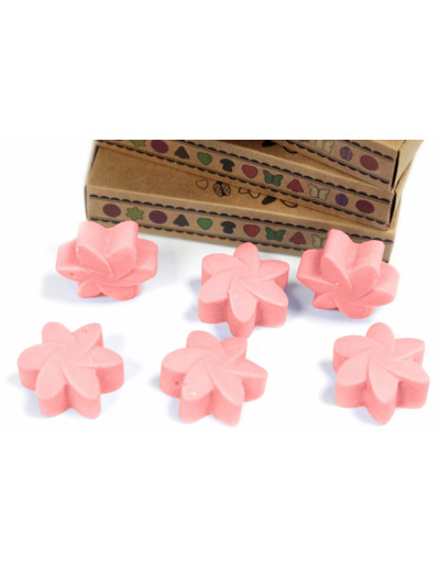 Boîte de 6 Fondants en Cire Soja - Magnolia Japonais