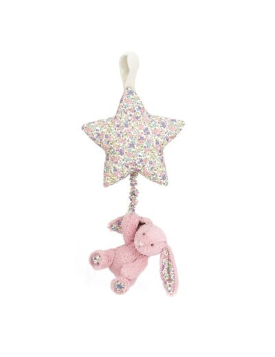 Blossom Tullip Bunny Star Musical Pull - BAMS4BTP