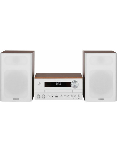 Micro-chaîne ref m-820dab