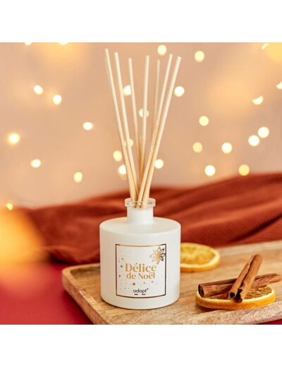 Délice de Noël - DIFFUSEUR 100ML