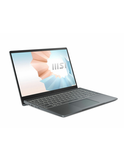 Pc portable modern 14 ref b11m-057fr