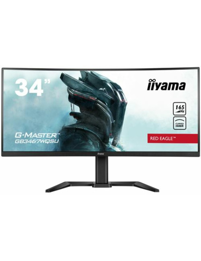 Ecran iiyama ref gb3467wqsu-b5