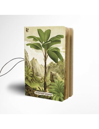 Notebook Phoenicophorum A6