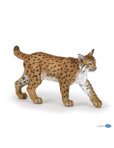 Lynx -Papo-Papo- 50241